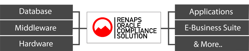 RENAPS' Oracle Compliance Solution is the only of its kind to combine software & Service that covers the entire Oracle product suite