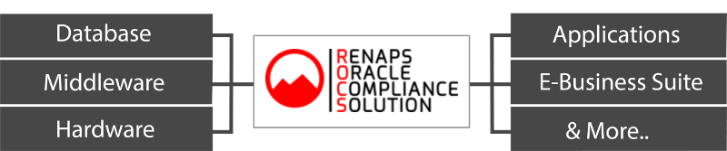 RENAPS' Oracle Compliance Solution is the only of its kind to combine software & Service that covers the entire Oracle product suite